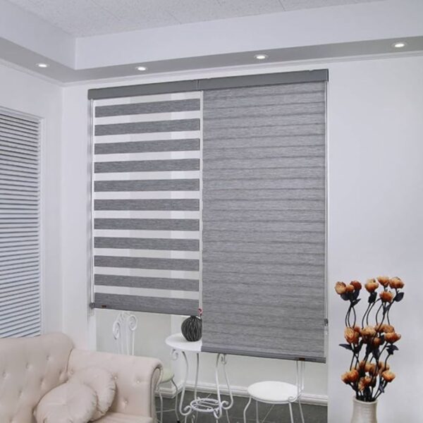 zebra blinds